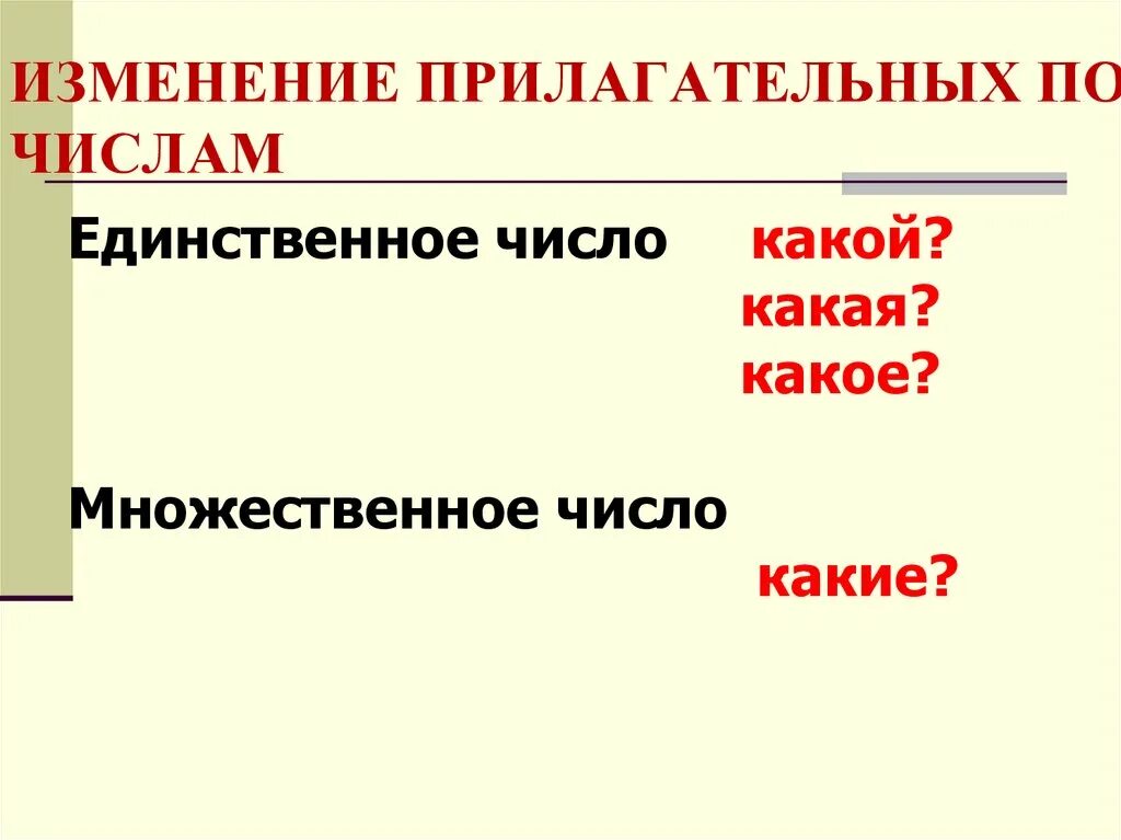 Измени прилагательные по вопросам. Изменение прилагательных по числам. Определение выраженное прилагательным. Презентация изменение прилагательных по числам. Изменение прилагательных по числам задания.