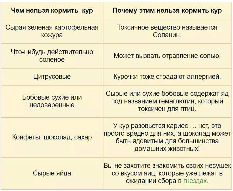 Можно давать есть. Чем нельзя кормить куриц. Что нельзя давать курам. Чем нельзя кормить куриц несушек. Что нельзя давать курам несушкам.