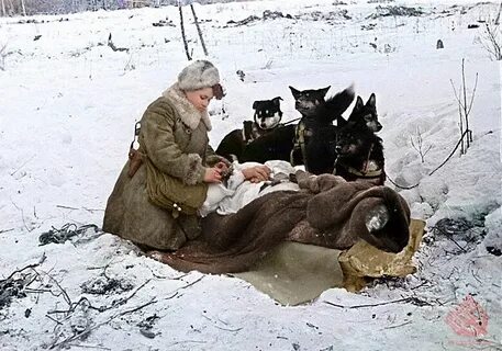 Раненый повезти