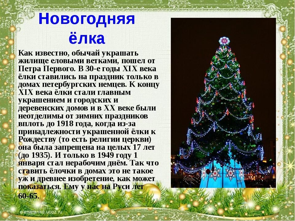 Родина рождественских елок. Рассказ про новогоднюю елку. История украшать елку на новый год. История новогодней елки. Новогодние истории.