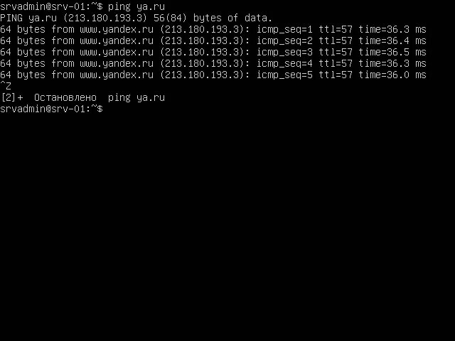 Как остановить ping. Как пинговать сервер. Я Ping. Ping ya.ru. Как пинговать другую рабочую станцию.