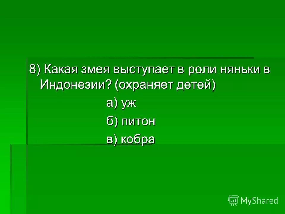 притяжательные прилагательные. змеи ужи и гадюки. змеиная какое прилагательное. название какой змеи может быть наречием. змеиная какое прилагательное.