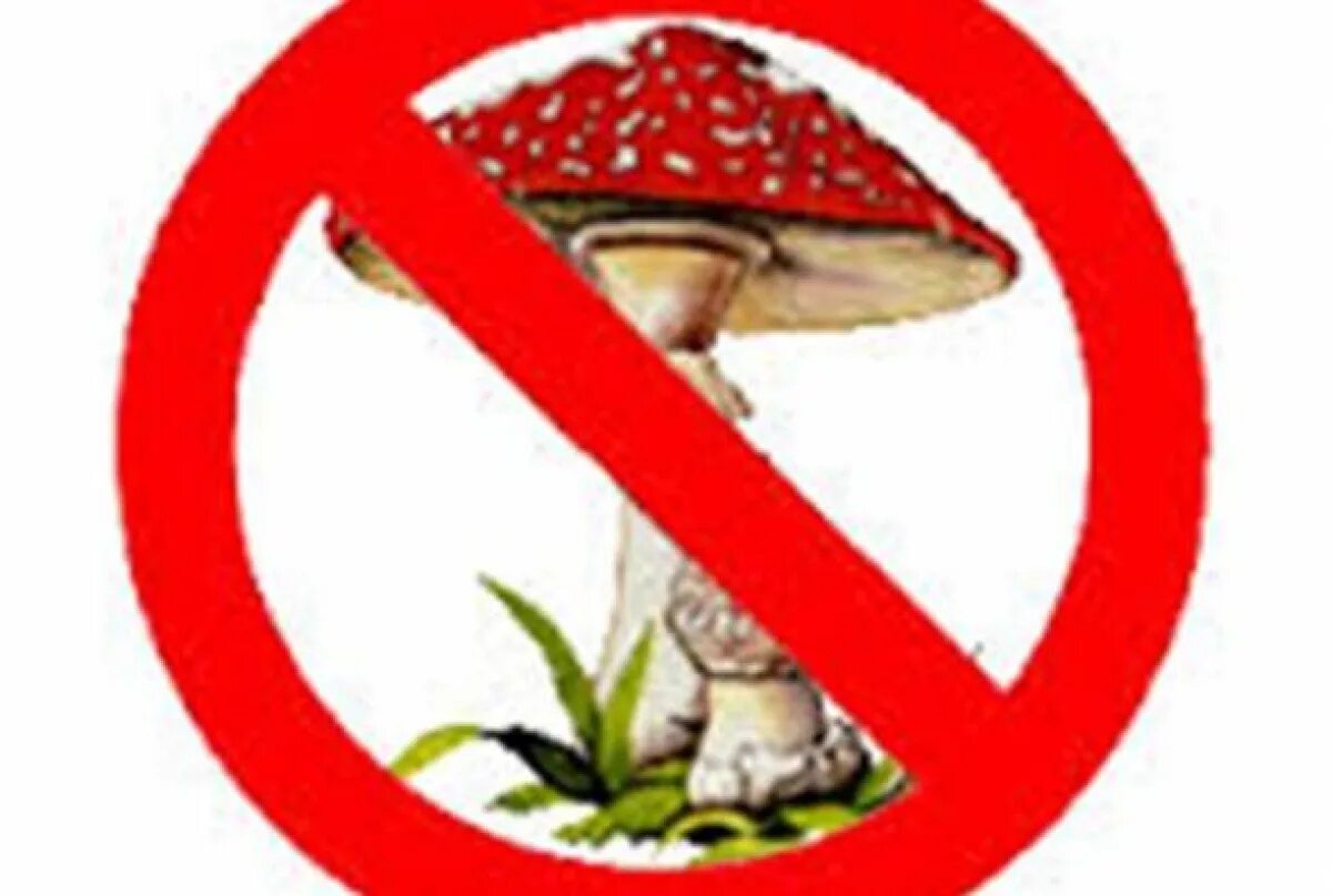 Знак нельзя собирать грибы. Знак несъедобные грибы. Экологический знак для грибов. Опасные грибы. Значок ядовитые грибы.