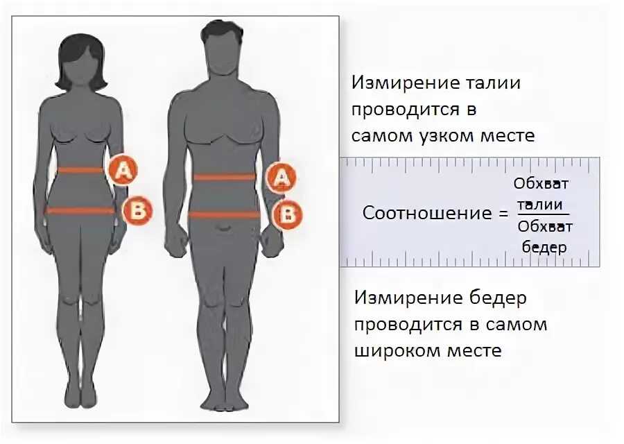 Бедра у мужчин норма. Соотношение окружности талии к окружности бедер. Соотношение талии и бедер 0.625. Соотношение обхвата талии и бедер. Измерение окружности талии и бедер при ожирении.