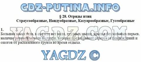 Отряды птиц таблица 7 класс