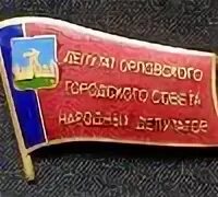 Какова численность депутатов орловского городского совета. Депутат районного совета значок.