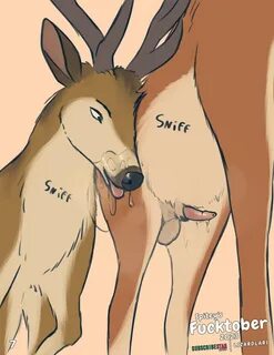 animal penis, antlers, balls, biped, black nose, brown body, brown fur 