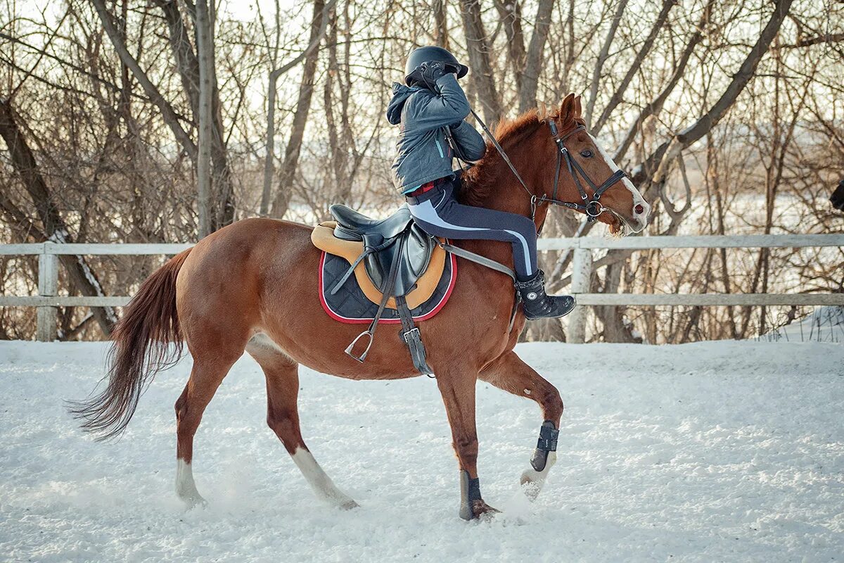 Лихой наездник 6 букв. Лихой наездник 6 букв