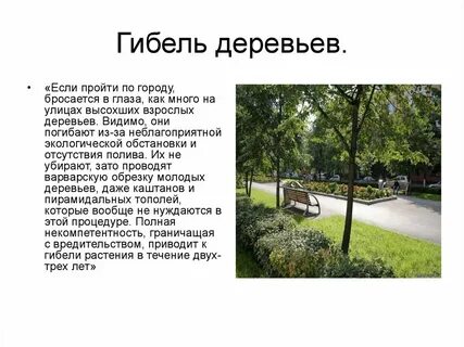Почему погибают молодыми
