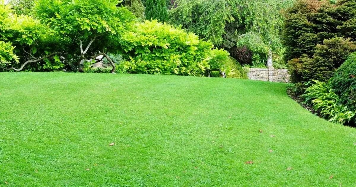 Кресло подвесное greengard орион. Кресло greengard рапсодия. Кресло greengard орион. Шезлонг-лежак грация mc-3039gb beige. Кресло greengard орион.