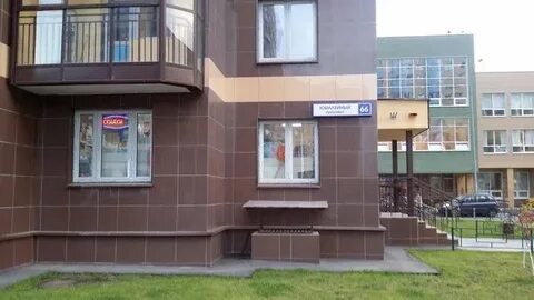 Кость реутов