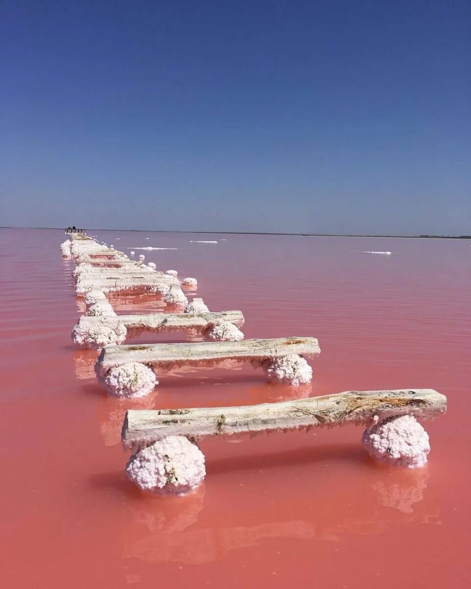 Розовый водоем в крыму. Сасык Сиваш озеро. Сасык-Сиваш Евпатория. Озеро Сасык Сиваш Евпатория. Розовое озеро Сасык-Сиваш.