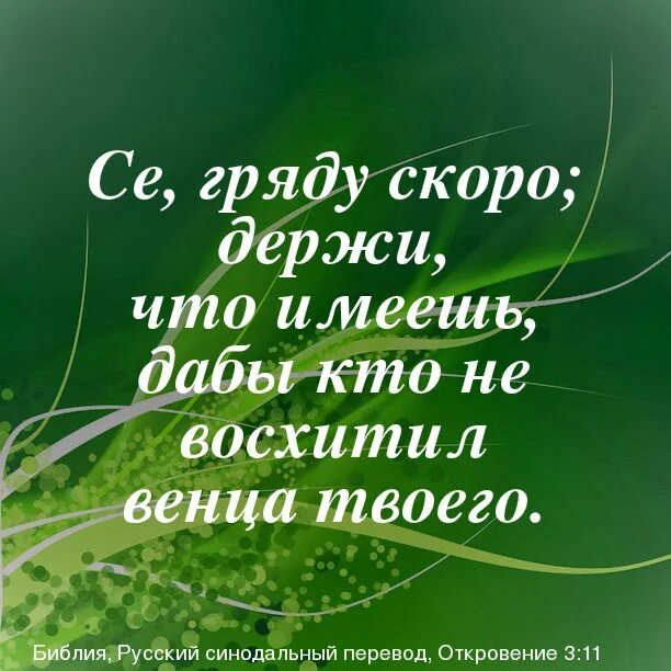 Слова из библии картинки. Библейские высказывания. Библейские стихи. Христианские высказывания. Библейские цитаты.