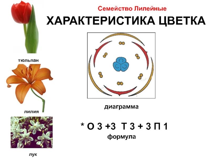 Число чашелистиков у однодольных