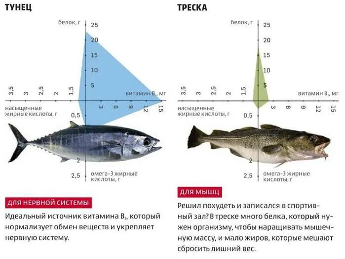 Стейк трески. Сколько ккал в треске. Бжу рыбы таблица. Треска пищевая ценность. Пищевая ценность содержание в 100 г рыба.