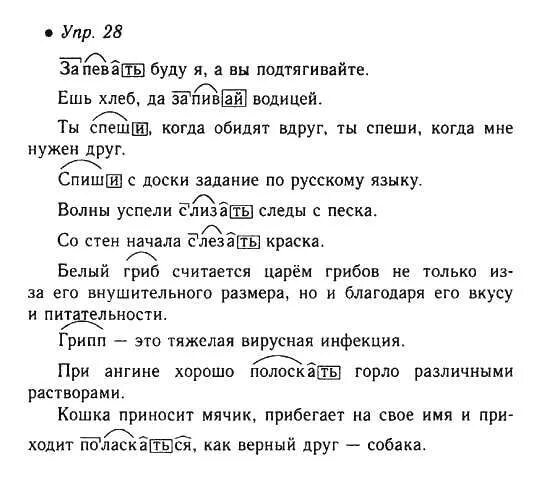 русский язык 6 класса упражнение 28. текст по русскому 6 класс. гдз русский язык 6 класс упражнение 37. домашние задания по русскому языку 6 класс. с утра было светло и тихо.