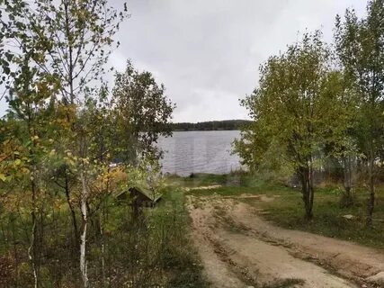 Погода в елнати