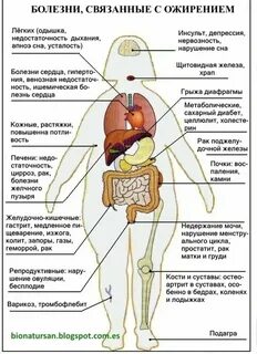 Жизни он приводит к заболеваниям