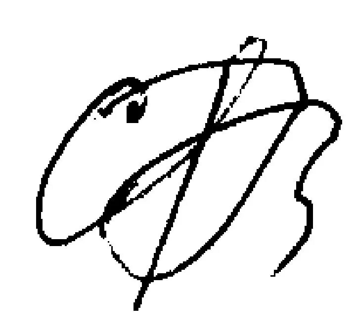 Signature value