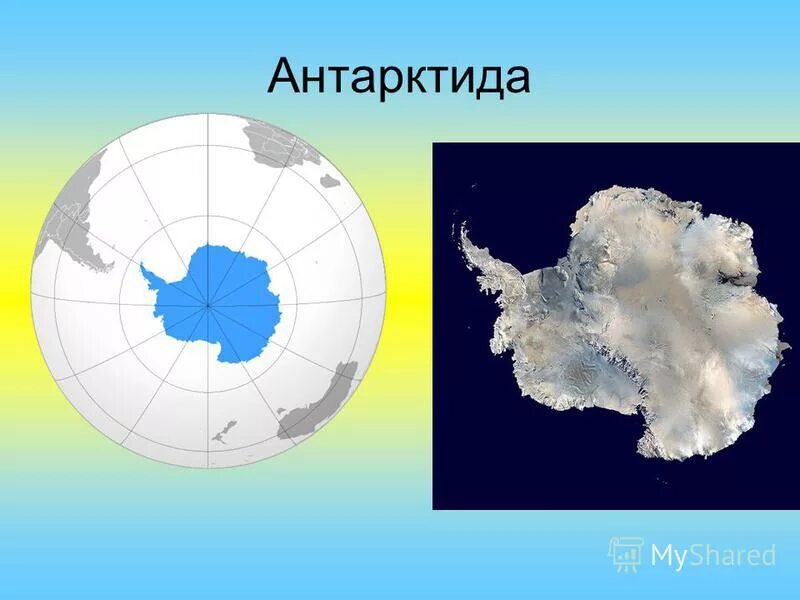 Антарктида по площади территории материк. Фгп антарктиды. Антарктида континент расположенный на самом юге земли. Географическое положение антарктиды. Континент антарктида по размеру.