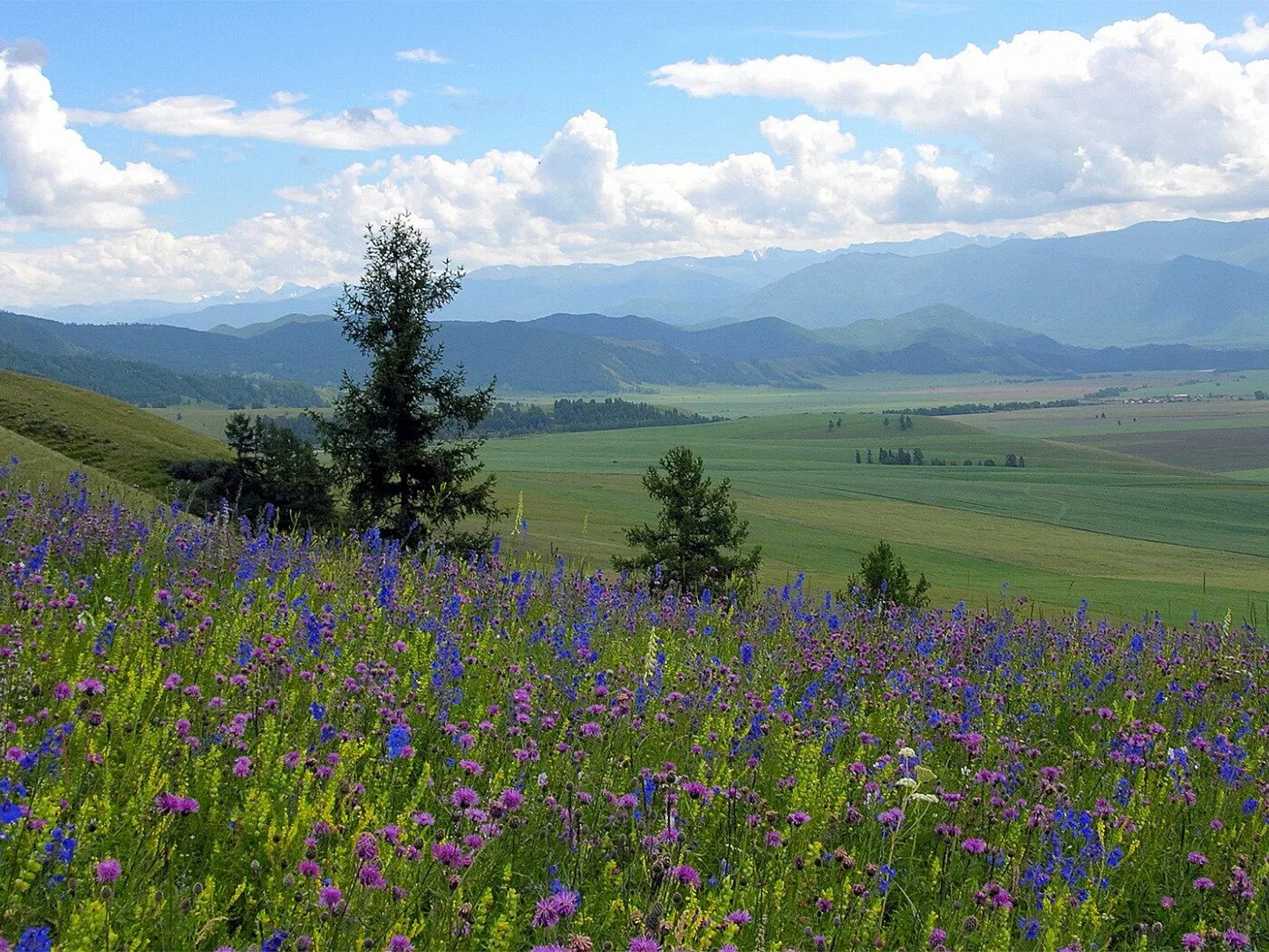 пейзажи алтайского края. карпаты. какие далекие края. уймонская степь. какие далекие края.