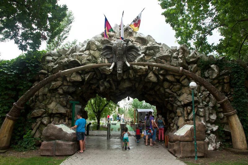 солнечный остров краснодар. солнечный остров краснодар сафари парк. солнечный остров краснодар софарипарк. сафари парк краснодар животные. зоопарк в краснодаре сафари парк.