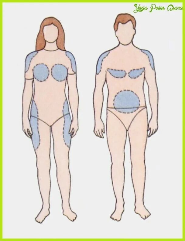 Какая часть тела увеличивается. Отложение жира по женскому типу. Жировые отложения по женскому типу. Мужской Тип отложения жира. Распределение жира по телу.