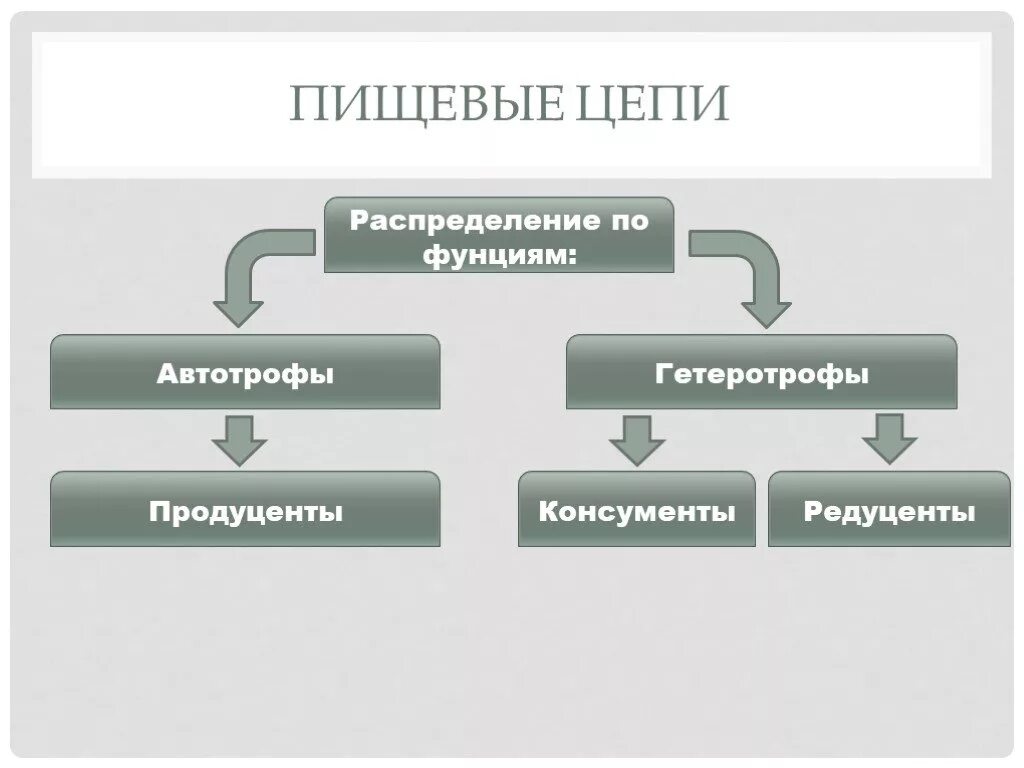 Продуценты это гетеротрофные организмы. Автотрофы гетеротрофы продуценты консументы редуценты. Продуценты это гетеротрофные организмы. Организмы продуценты. Продуценты это гетеротрофные организмы.