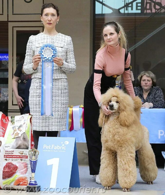 зоокурьер выставки собак в санкт петербурге 2024