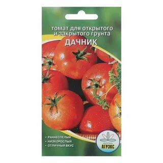 Семена томатов дачник