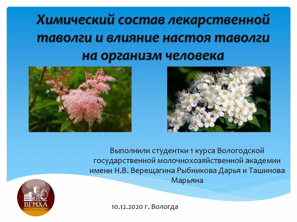 Масло таволги. Таволга болотная. Польза таволги для организма. Лабазник трава таволга. Лечебная трава лабазник.