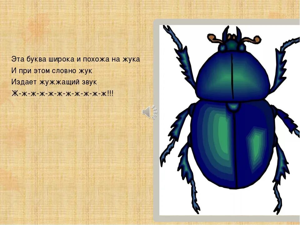 У жука 6 лапок. Жук издающий звуки. Жук жужжит. Буква ж в виде жука. Буква ж похожа на жука.