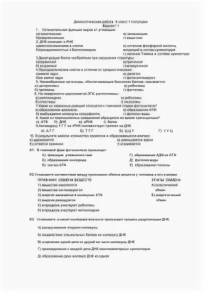 Промежуточная аттестация по биологии 11 класс