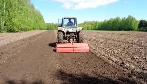 Старая русса агротехнический