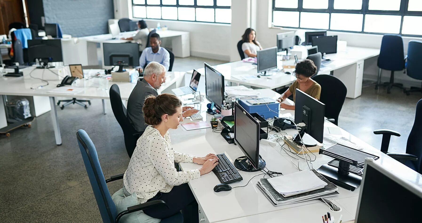 Как называются люди работающие дома. Офис с сотрудниками. люди в офисе за работой. рабочий офис.