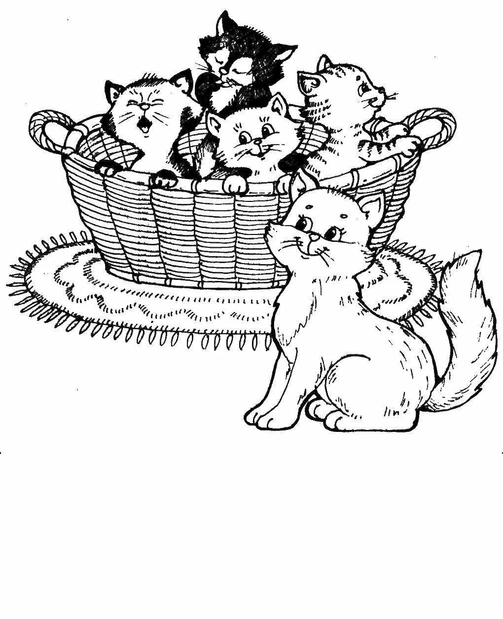 Раскраска. Котики. Раскраска котята в корзинке. Котенок. Раскраска. Кошка раскраска для детей. 1 кошка и 5 котят