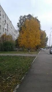 Красно каменск