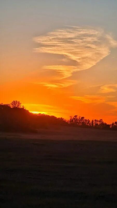 сначала было солнце. сначала было солнце. сначала было солнце. снимки солнца в высоком разрешении. какие роли играет солнце.