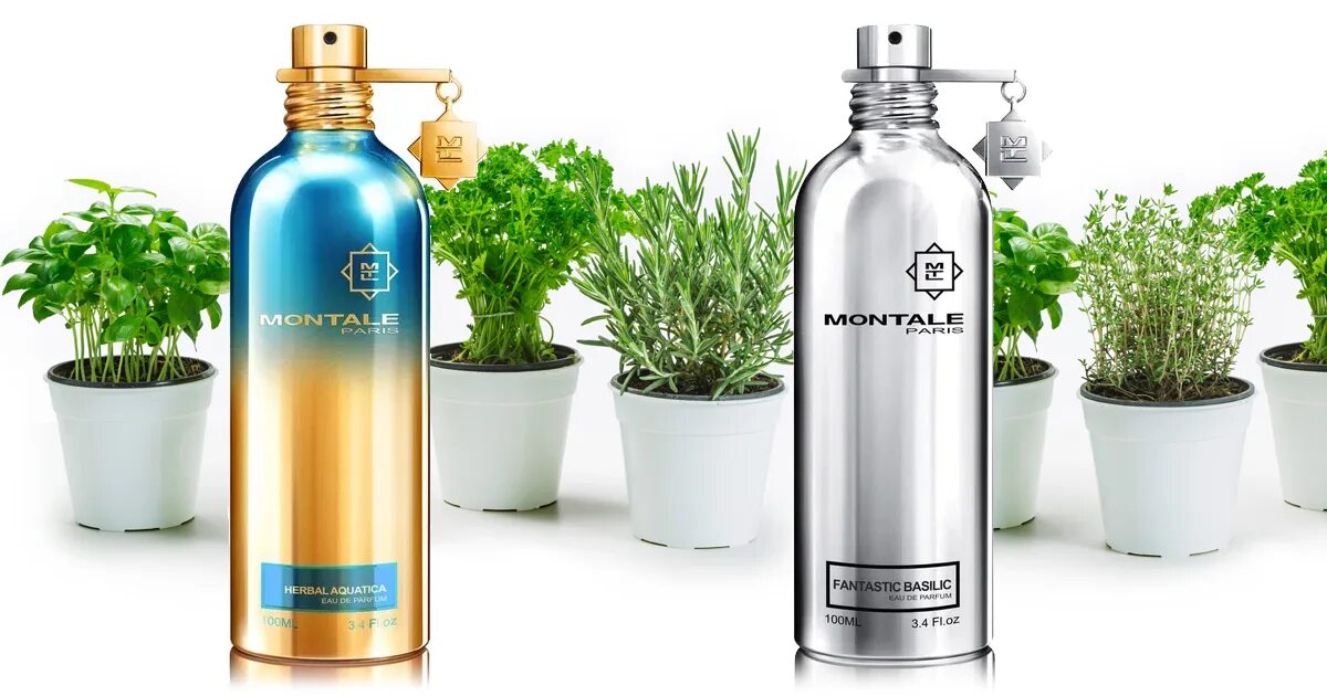 Montale basilic. Montale fantastic basilic. Montale Herbal Aquatica. Montale fantastic basilic 20 мл. Парфюм Montale Herbal Aquatica.