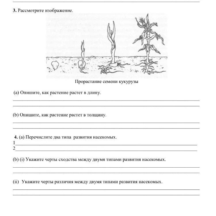 Рассмотрите изображение опишите. Рассмотрите изображение. Биология 7 класс 4 четверть. Сор биология 7 класс 4 четверть. Рассмотрите рисунок растти.