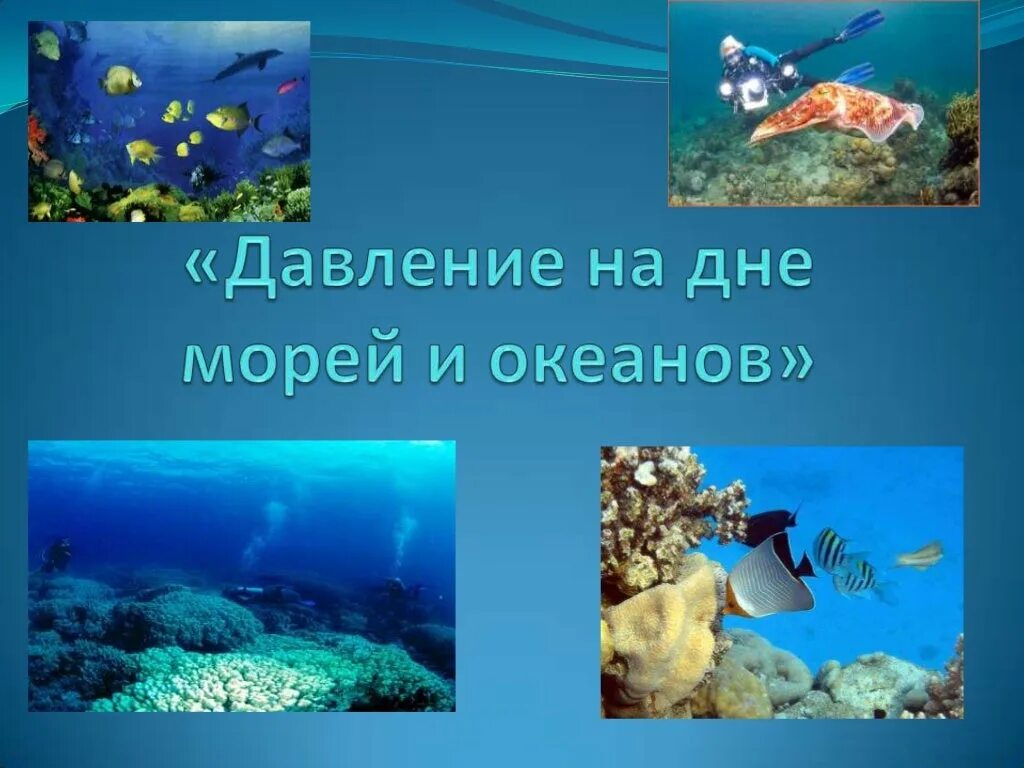 Давление на дне морей и океанов доклад. Давление в морях и океанах. Исследование морского дна. Давление на дне морей и океанов. Давление на дне морей.