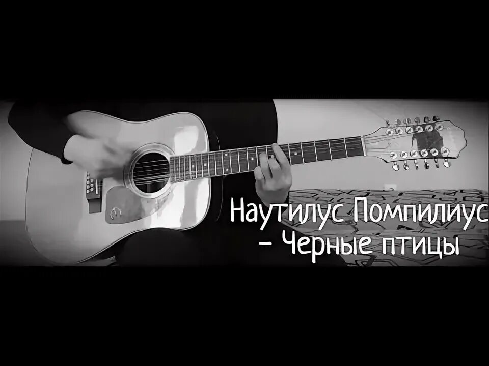Песня птица на гитаре. Наутилус помпилиус черные птицы. чёрные птицы nautilus pompilius. наутилус помпилиус черные птицы ноты. наутилус помпилиус черные птицы на гитаре.