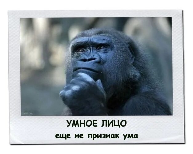Как выглядит умное лицо УПЛ Українська Премє'р-Ліга ВКонтакте