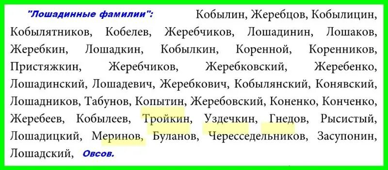 Фамилия коне. Лошадиная фамилия все фамилии. Сколько всего лошадиных фамилий в рассказе. Все Лошадиные фамилии. Сколько фамилий в лошадиной фамилии.