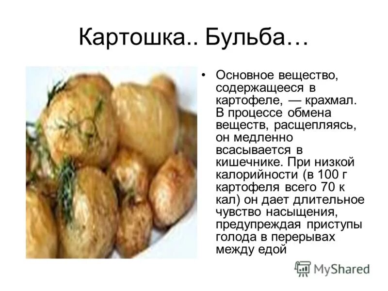 песня из мешка бери картошку и питайся понемножку. бульба ноты. бульба перевод. бульба песня текст. бульба перевод.