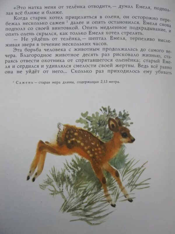 Сочинение мамин сибиряк емеля охотник. Олененок мамин Сибиряк. Емеля-охотник мамин-Сибиряк. Мамин Сибиряк Емеля охотник книга.