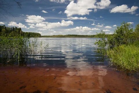Оз материнское