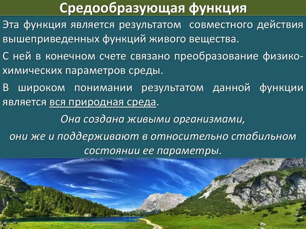 Средообразующая функция живого вещества. Средообразующая функция биосферы. Средообразующая функция живого вещества примеры. Средообразующая функция живого вещества в биосфере.