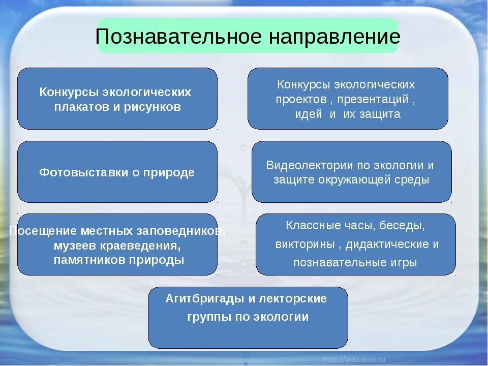 Направления работы экологического воспитания. Направления экологического воспитания школьников. Направления работы по экологическому воспитанию школьников. Экологическое направление воспитательной работы в школе. Направления экологической деятельности