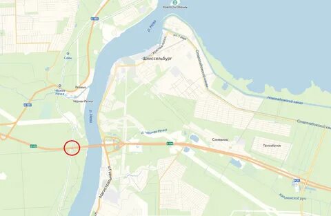 Автобус кировск синявино